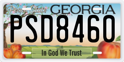GA license plate PSD8460