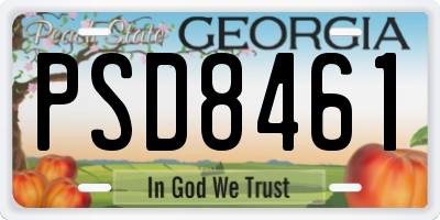 GA license plate PSD8461