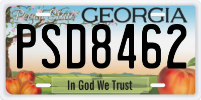 GA license plate PSD8462