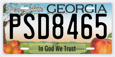 GA license plate PSD8465