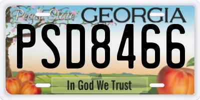 GA license plate PSD8466