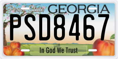GA license plate PSD8467