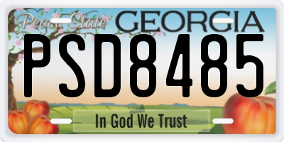 GA license plate PSD8485