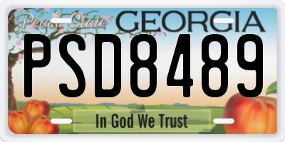GA license plate PSD8489