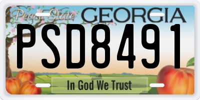 GA license plate PSD8491