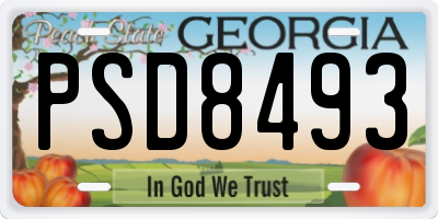 GA license plate PSD8493
