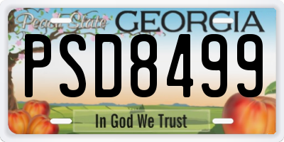 GA license plate PSD8499