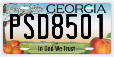 GA license plate PSD8501