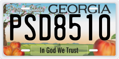 GA license plate PSD8510