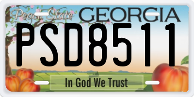 GA license plate PSD8511