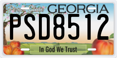 GA license plate PSD8512