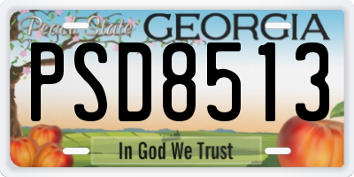 GA license plate PSD8513