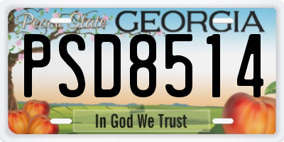 GA license plate PSD8514