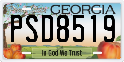 GA license plate PSD8519