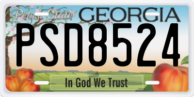 GA license plate PSD8524