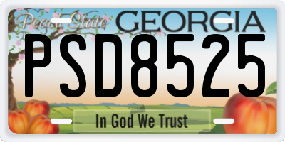GA license plate PSD8525