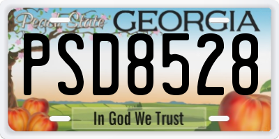 GA license plate PSD8528