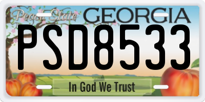 GA license plate PSD8533