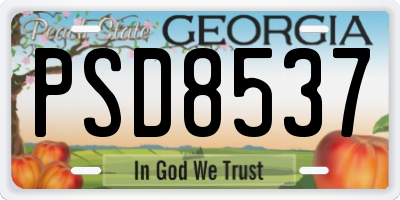 GA license plate PSD8537