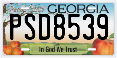 GA license plate PSD8539