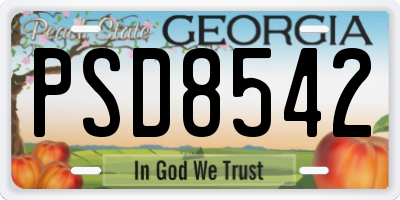 GA license plate PSD8542