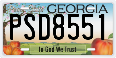 GA license plate PSD8551