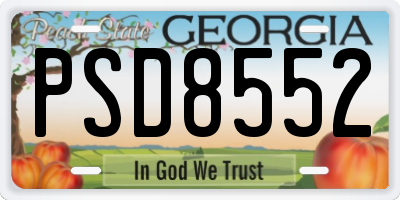 GA license plate PSD8552