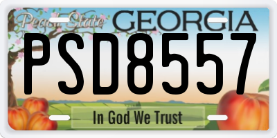 GA license plate PSD8557