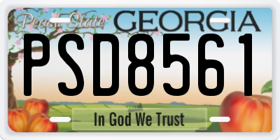 GA license plate PSD8561