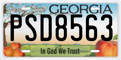 GA license plate PSD8563