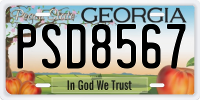 GA license plate PSD8567