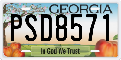 GA license plate PSD8571
