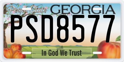 GA license plate PSD8577