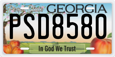 GA license plate PSD8580