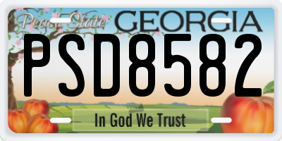 GA license plate PSD8582
