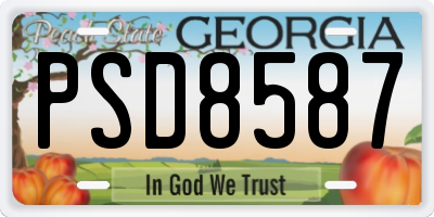 GA license plate PSD8587