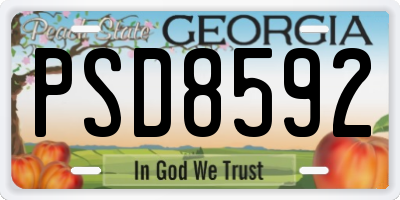 GA license plate PSD8592