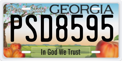 GA license plate PSD8595