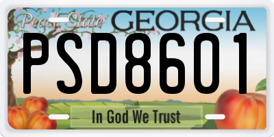 GA license plate PSD8601