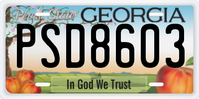 GA license plate PSD8603