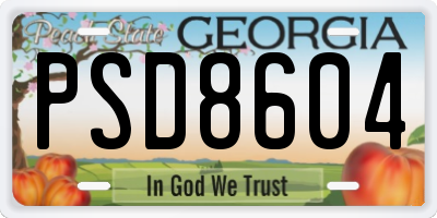 GA license plate PSD8604