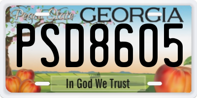 GA license plate PSD8605