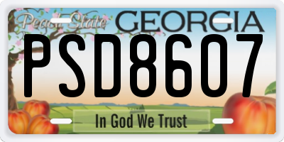 GA license plate PSD8607