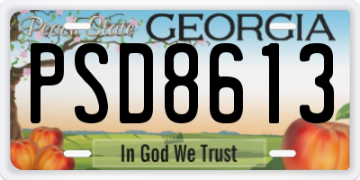 GA license plate PSD8613