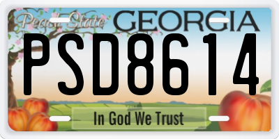 GA license plate PSD8614
