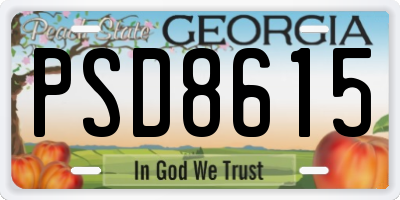 GA license plate PSD8615