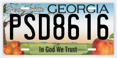 GA license plate PSD8616