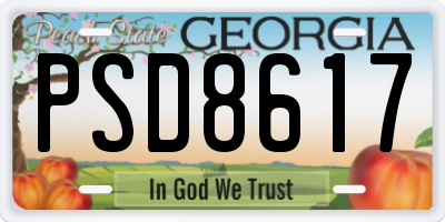 GA license plate PSD8617