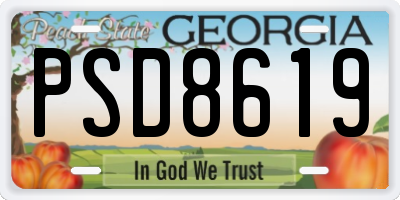 GA license plate PSD8619