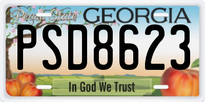 GA license plate PSD8623